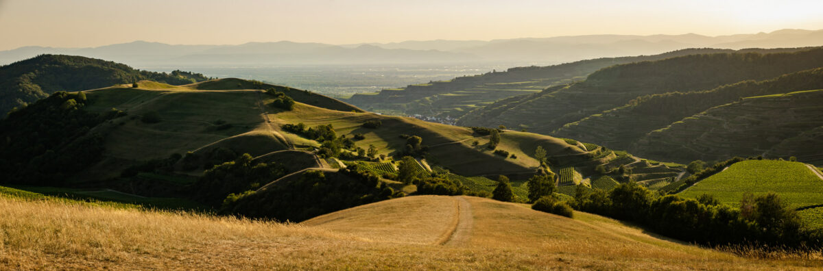 Weinregion Kaiserstuhl